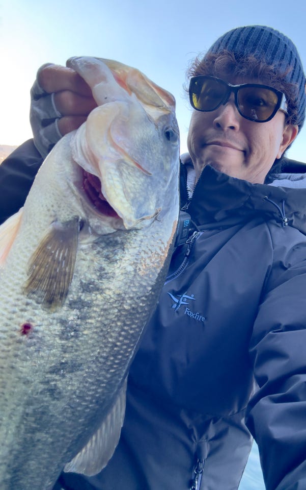 ダイワ ベイトリール 24スティーズ SV TW 100XHL(左)(100XHL): リール