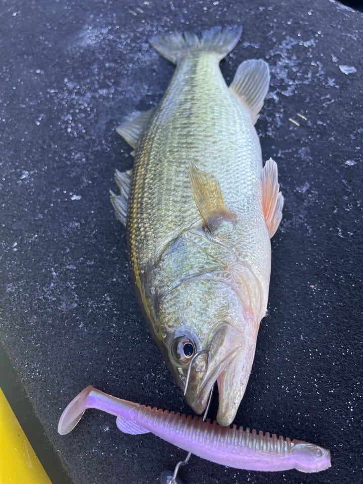 りーこです♡ おしえて釣り名人 [釣具のキャスティング]