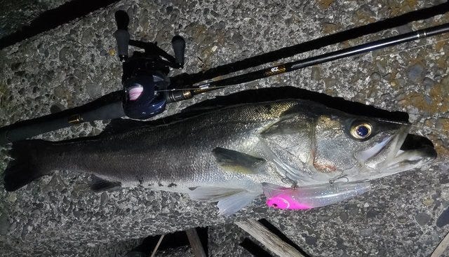 ダイワ シーバスロッド モアザン ブランジーノ EX AGS 93MHB(ベイト 2