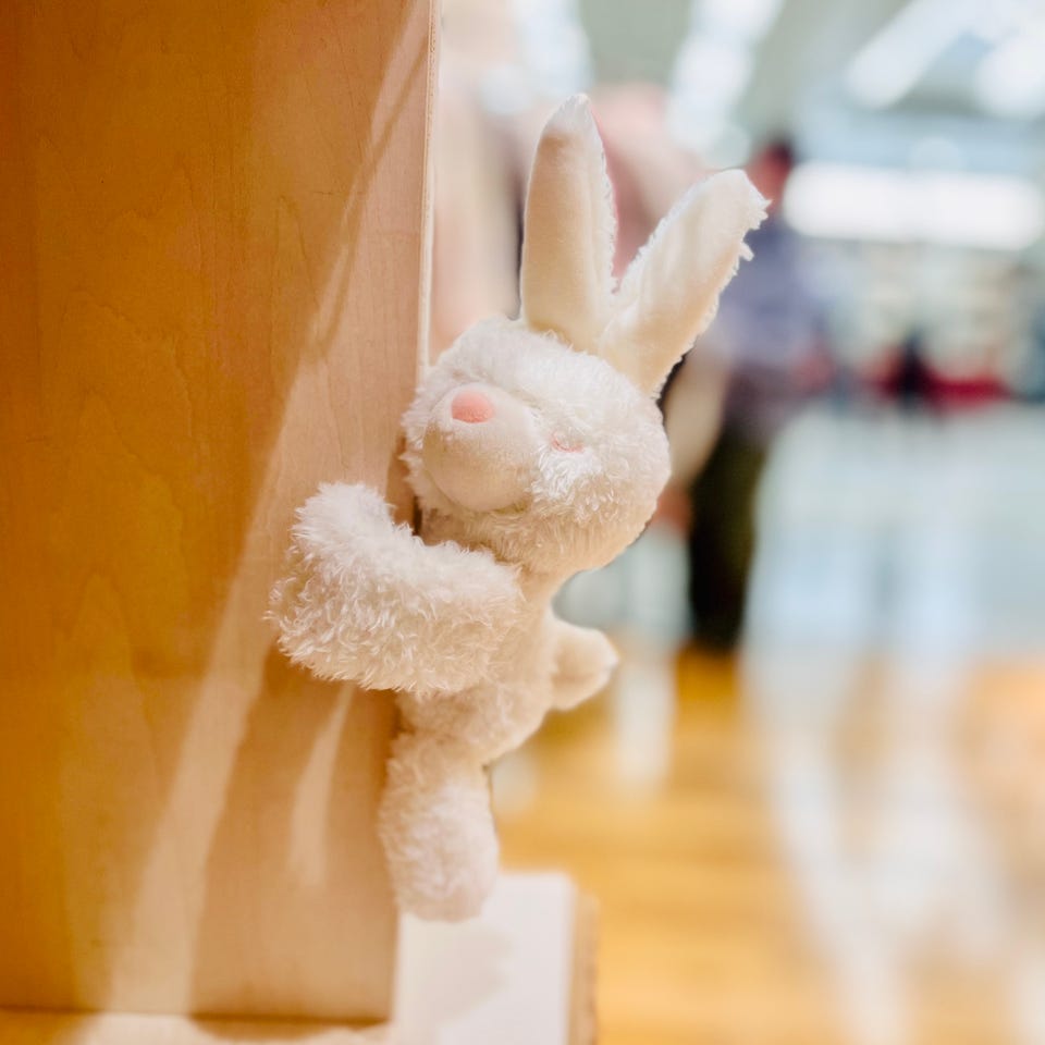 ウサギロールペット/ぬいぐるみ | アフタヌーンティー公式通販サイト