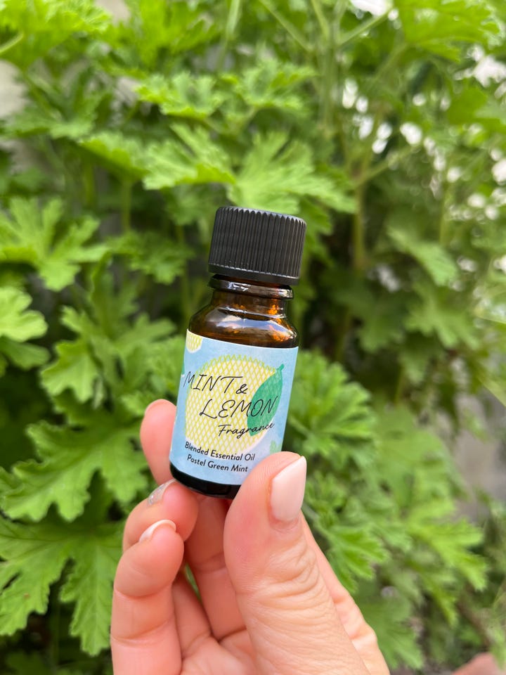 ブレンド精油 パステルグリーンミント 10ml – 生活の木 オンラインストア