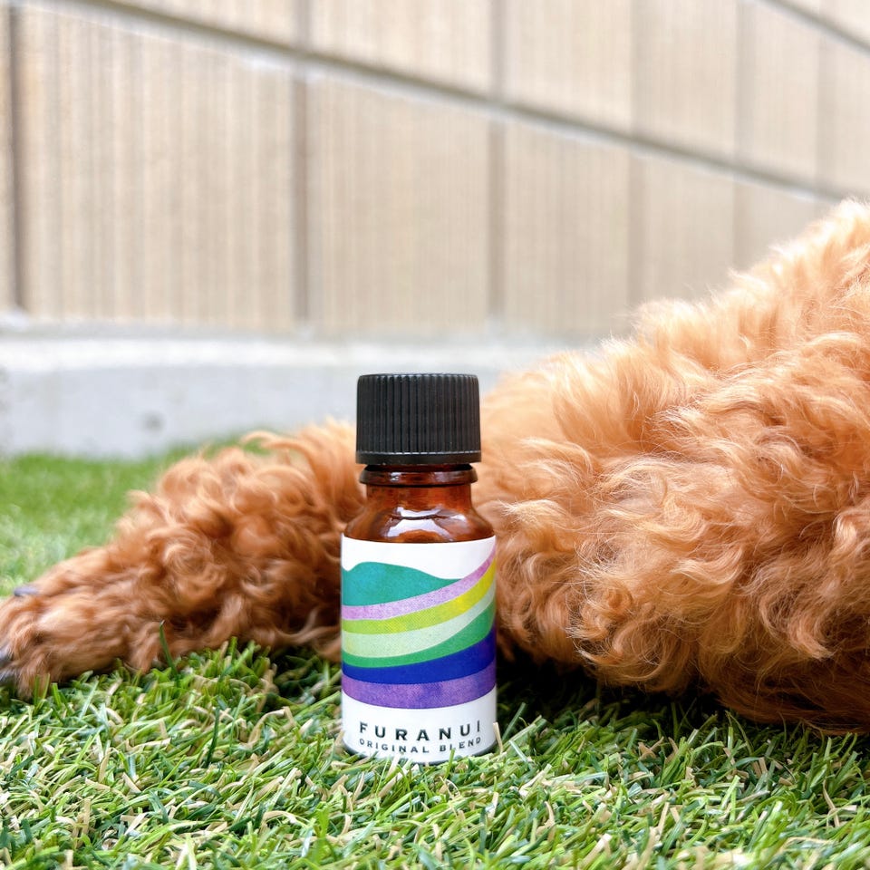 ご当地アロマ ブレンド精油 フラヌイブレンド 10ml – 生活の木