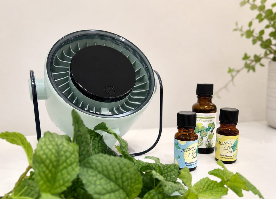 生活の木　パステルグリーンミント&amp;ライミーバカンス&amp;ネムリラ オイル　30ml 生活の木 パステルグリーンミント&ライミーバカンス&ネムリラ オイル