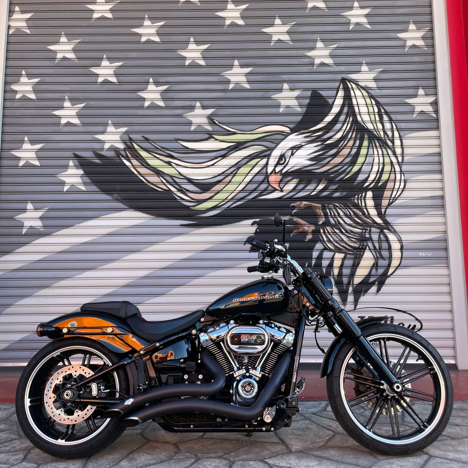 PCX高性能触媒搭載】 ビッグラディウス 2in2 フルエキゾーストマフラー