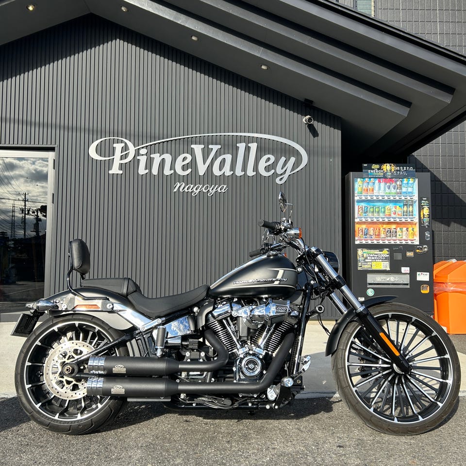 店頭販売限定】ジキル＆ハイド□Dr. Jekill & Mr. Hyde日本正規品 音量