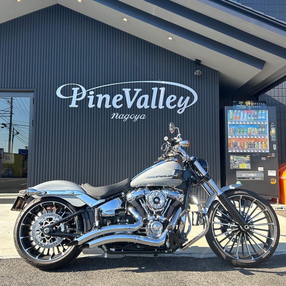 PCX高性能触媒搭載】 ビッグラディウス 2in2 フルエキゾーストマフラー