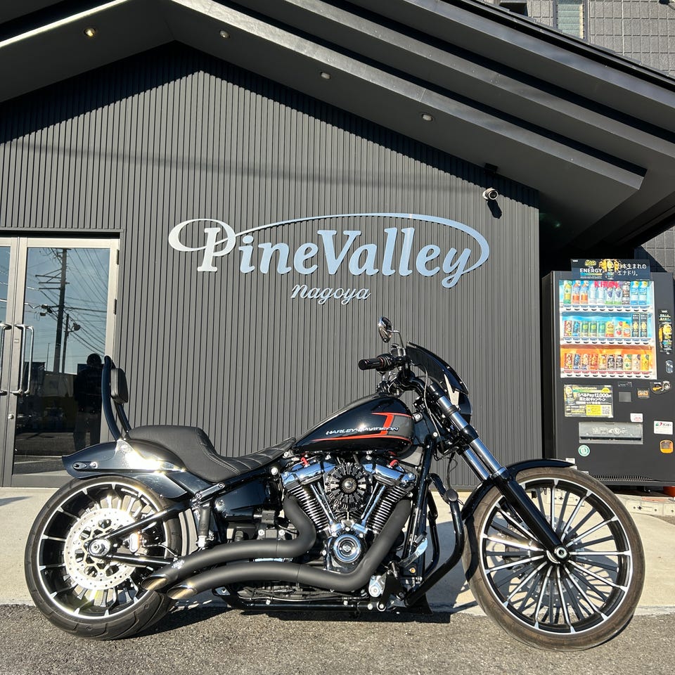 PCX高性能触媒搭載】 ビッグラディウス 2in2 フルエキゾーストマフラー