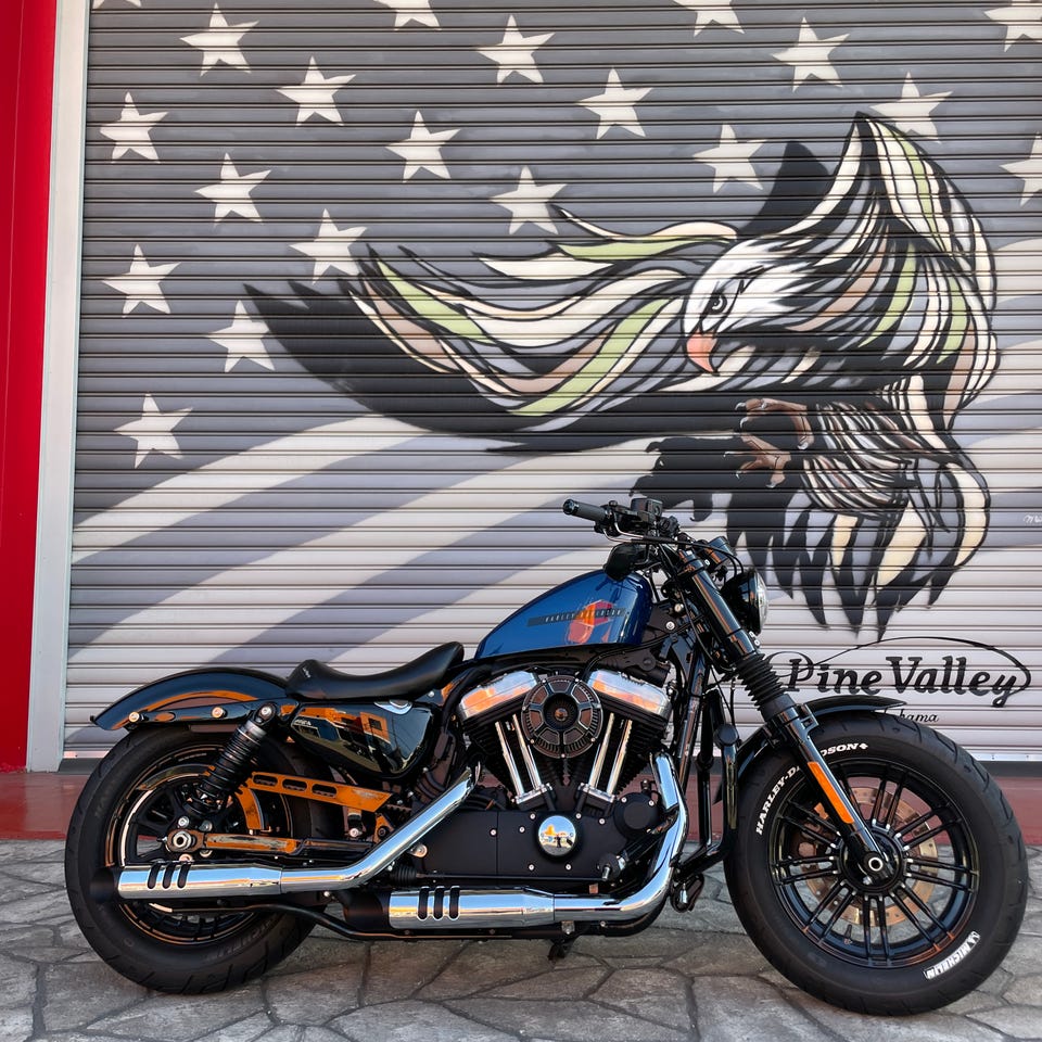 XL1200 XL883 スポーツスター 04-13 モーターステージ 76 ブラス