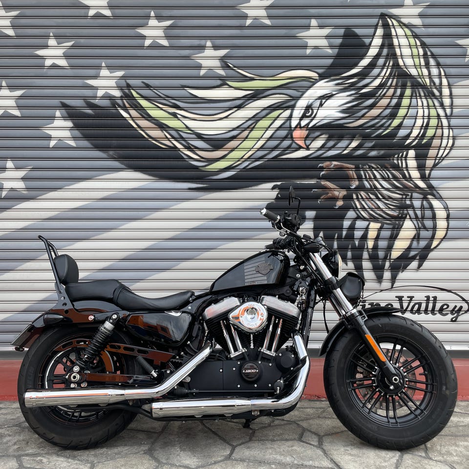 S&S□ステルスエアクリーナーキット ミニティアドロップカバー付き