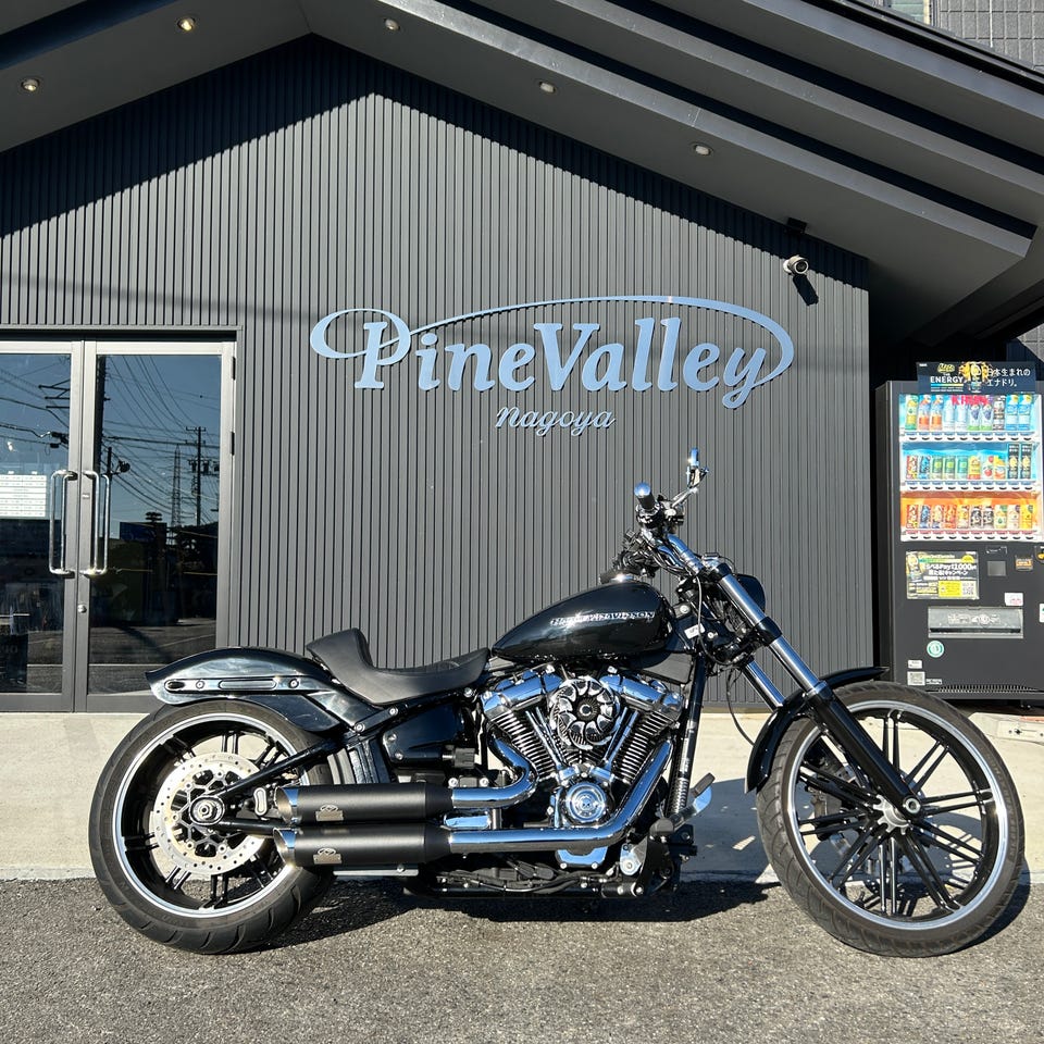 店頭販売限定】ジキル＆ハイド□Dr. Jekill & Mr. Hyde日本正規品 音量