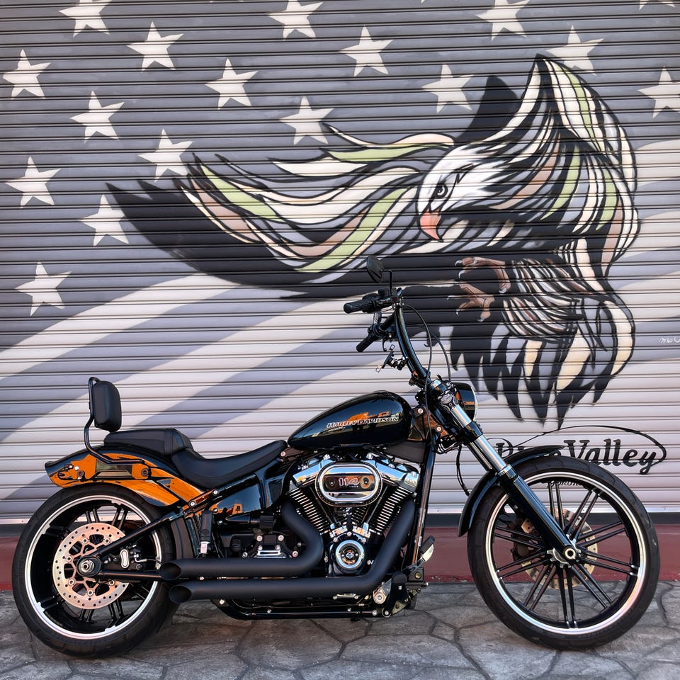 フリーダムパフォーマンス□デクラレイション ターンアウト