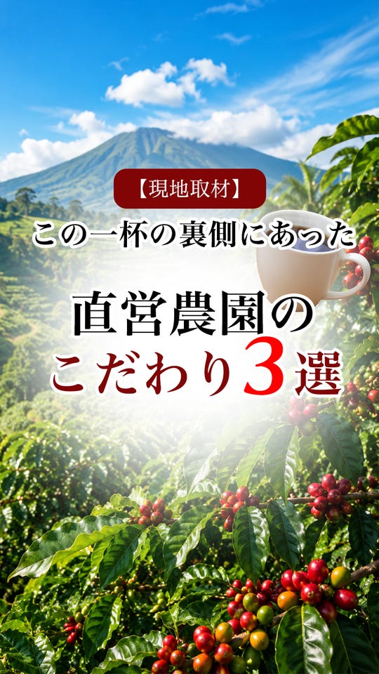 コーヒーの総合専門店】トラジャブレンド ノワール 豆 200g: コーヒー